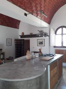 Bilde i galleriet til L'orangeraie dans domaine Darmarzouk i Wadrān