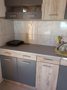 a kitchen with a sink and a counter top at Etno Zvuk Tisine Djukic in Valjevo +27 photos