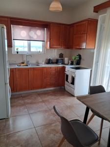 kuchnia z drewnianymi szafkami i białą płytą kuchenną w obiekcie ILIANA.APARTMENTS w Kardamenie