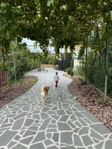 Fotografie z fotogalerie ubytování Ekas Rosengarten v destinaci Gori