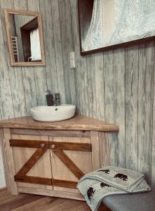 a bathroom with a sink and a mirror at Pipi Vityilló in Füzérradvány