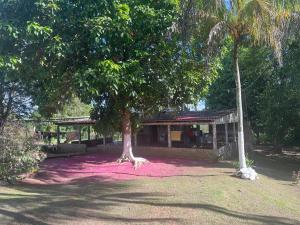 BujariDavi Modesto的一栋前面有棵树的建筑物