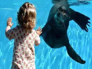 Una niña mirando a un oso en el agua en Spacious Bungalow near Water, en Breskens
