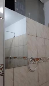 a shower with a glass door with two toilets at Peruvian Apartment in Lima +18 photos