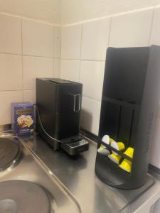 a coffee maker sitting on a counter next to a sink at Die möblierten Apartments in Triesen