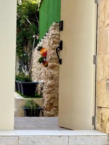 Gambar di galeri bagi Ta' Matmura B&B di Għarb