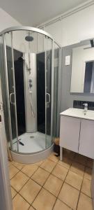 a bathroom with a shower and a sink at Le Georges Durand - Parking - 5 min du Circuit 24H - Wifi - 2 chambres in Le Mans +5 photos
