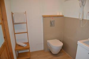 a small bathroom with a toilet and a shelf at Flores Apartament in Katowice