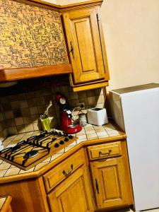 a kitchen with a stove and a white refrigerator at grand appartement strasbourg in Eckbolsheim