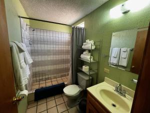 a bathroom with a sink and a toilet and a shower at Ocotillo del Mar in San Felipe +34 photos