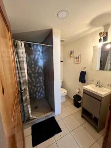 a bathroom with a shower with a sink and a toilet at La Casita del Centro in Creel
