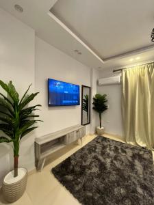 a living room with a tv and two potted plants at Triple Garden Studios and apartments in Cairo