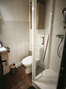 Vannituba majutusasutuses LE PETIT PONTILLARD - Hypercentre - Face Opera & Parcs