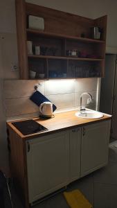 Una cocina o cocineta en Apartment Luna Terazije 56 fotos más
