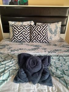 Φωτογραφία από το άλμπουμ του Casa de Playa Bonita σε Βερακρούζ