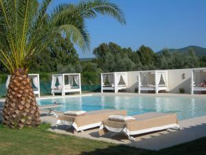 a swimming pool with two lounge chairs and a palm tree at Relais Le Fornacelle in Castagneto Carducci
