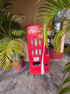 Fotografie z fotogalerie ubytování Hotel posada MARCAS v destinaci Cancún