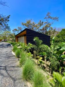 Κήπος έξω από το Sophia Treetop Loft Santa Teresa