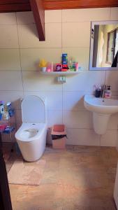 un bagno con un water e un lavandino di MIRZ Accomodation a Pacific Harbour