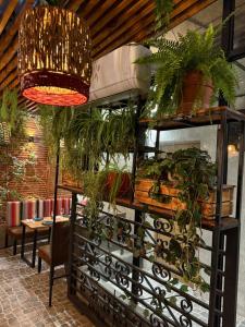 Restaurace v ubytování Tagle Hotel Boutique