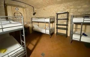 Letto o letti a castello in una camera di Alba Hostel