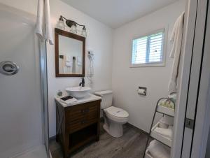 a bathroom with a toilet and a sink and a mirror at Squaw Valley Motel Room 8 in Squaw Valley +19 photos