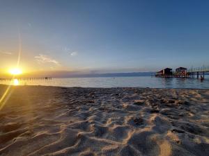 Svetlaya PolyanaSvetlaya Polyana的相册照片