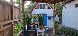 a patio with potted plants on a table with a house at Cabañas Don Jorge - Cabaña Fragata in Puerto Baquerizo Moreno +10 photos