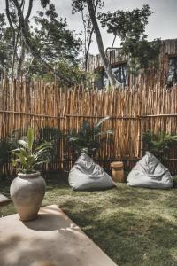 a potted plant in front of a wooden fence at Jungle Luxury Villa Pvt Pool 100mbs AC Concierge D9 in Tulum +37 photos
