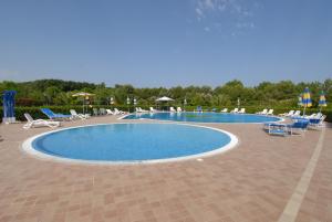 a large swimming pool with chairs and umbrellas at Il Girasole in Venturina Terme