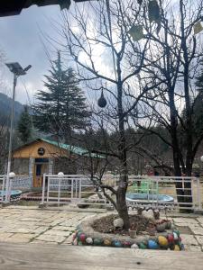 Üldine mäevaade või majutusasutusest MountRush Adventures Manali pildistatud vaade