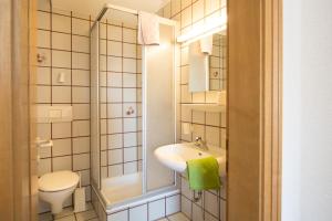 La petite salle de bains est pourvue d'un lavabo et de toilettes. dans l'établissement Appartment Plottenbäck, à Campo Tures