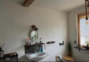 une salle de bain avec un lavabo, des toilettes et un miroir dans l'établissement Dreas Vintage Room, à Krastel
