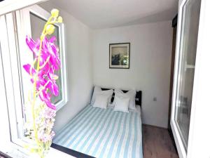ein kleines Zimmer mit einem Bett und einem Fenster in der Unterkunft Holiday Home Jaga - Three bedroom Holiday Home with swimming pool in Biograd na Moru