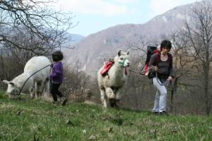 kobieta i dziecko i dwa zwierzęta na wzgórzu w obiekcie Il Capriolo Felice - Agriturismo w mieście Lastebasse