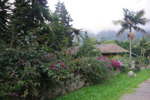 Κήπος έξω από το Mountain Park Santa Helena
