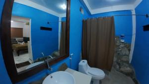 a blue bathroom with a toilet and a shower at Dream Hill Condos & Spa in Puerto Galera