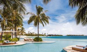 an infinity pool with palm trees and chairs at Waldorf Astoria Maldives Ithaafushi in South Male Atoll