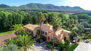 une vue aérienne d'une maison avec des palmiers dans l'établissement Pura Vida, à Son Servera
