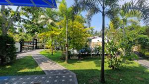 Zahrada ubytování Sunny Villa