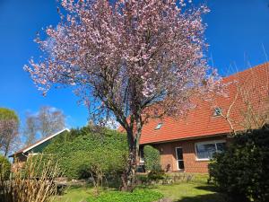 Zahrada ubytování Ferienbauernhof De Slaaphoeve