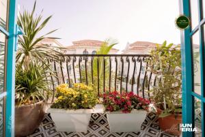 un balcon avec des plantes en pot et une clôture dans l'établissement Chuỗi villa 7 Ngủ Sun feria 888 - bể bơi - BBQ -gần Bãi BIỂN BÃI CHÁY, à Hạ Long