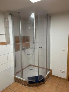 a shower with a glass door in a bathroom at Gästehaus Maxi in Rust