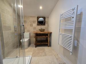 a bathroom with a shower and a toilet and a sink at La Maison De Jade in Meyrals +9 photos