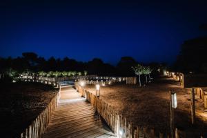a wooden walkway with lights on it at night at Le Hameau Des Pesquiers Ecolodge & Spa, Curio Collection By Hilton in Hyères
