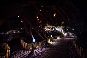 a tree with lights hanging from it at night at Le Hameau Des Pesquiers Ecolodge & Spa, Curio Collection By Hilton in Hyères