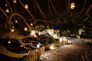 a tree with lights on a walkway at night at Le Hameau Des Pesquiers Ecolodge & Spa, Curio Collection By Hilton in Hyères