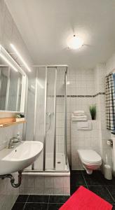 NipmerowにあるFeWo 1 im Ferienhaus Lohme -Hagen im Nationalparkの洗面台、シャワー、トイレ付きのバスルーム
