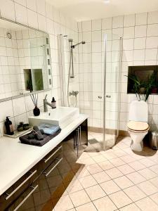 a bathroom with a sink and a shower and a toilet at Panorama Storelva in Tromsø