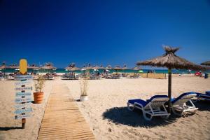 piaszczystą plażę z leżakami i parasolami oraz ocean w obiekcie Les Palmiers Appartement 4 personnes 50m De La Plage Parking w mieście Canet-en-Roussillon